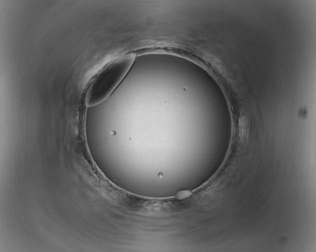X0000116821165200912181401