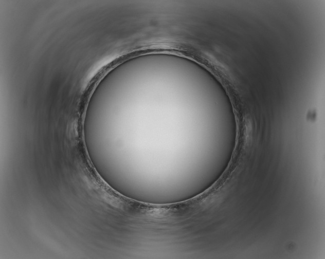 X0000116821166200912181401
