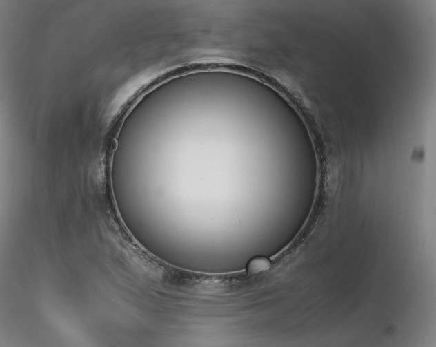 X0000116821167200912181401