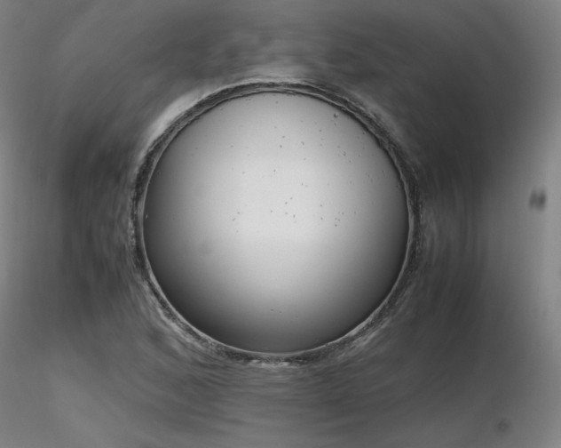 X0000116821168200912181401