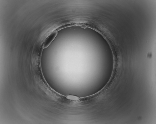 X0000116821169200912181401