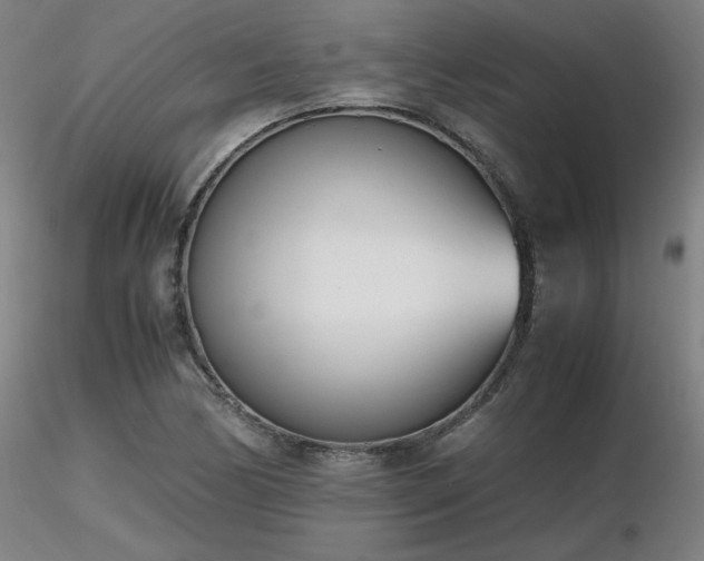 X0000116821170200912181401