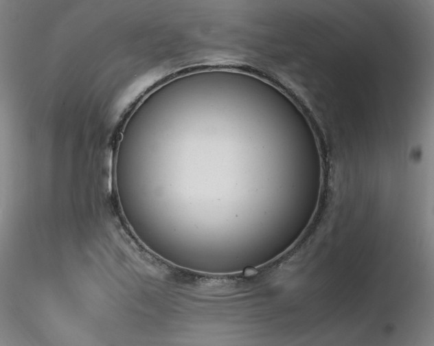 X0000116821171200912181401