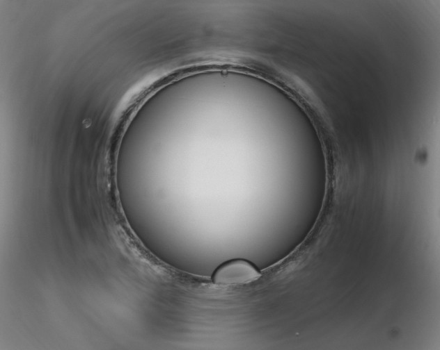 X0000116821172200912181401