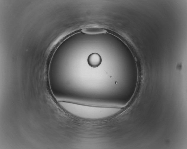 X0000116821173200912181401