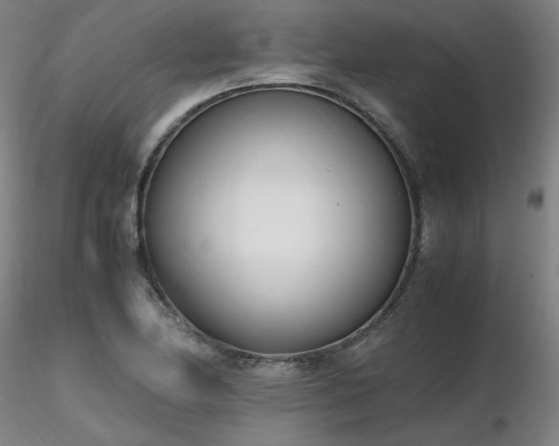 X0000116821174200912181401