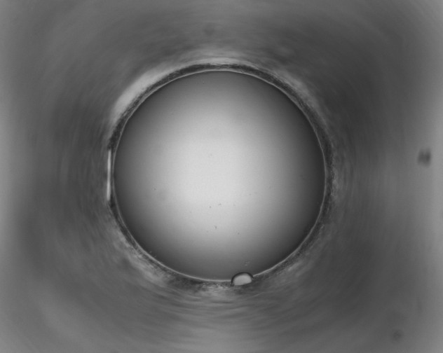 X0000116821175200912181401