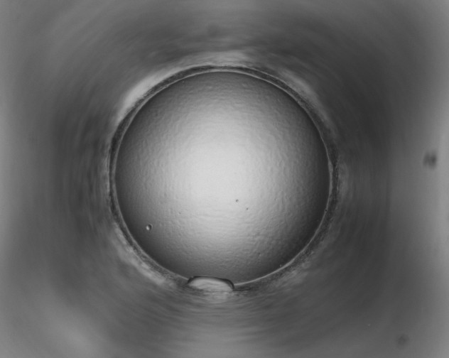 X0000116821176200912181401
