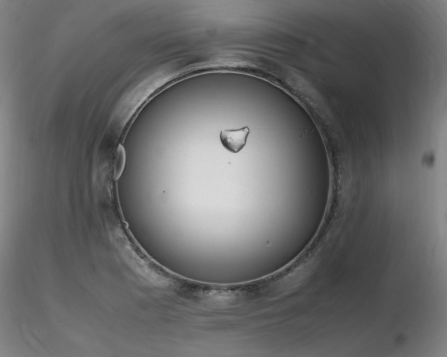 X0000116821177200912181401