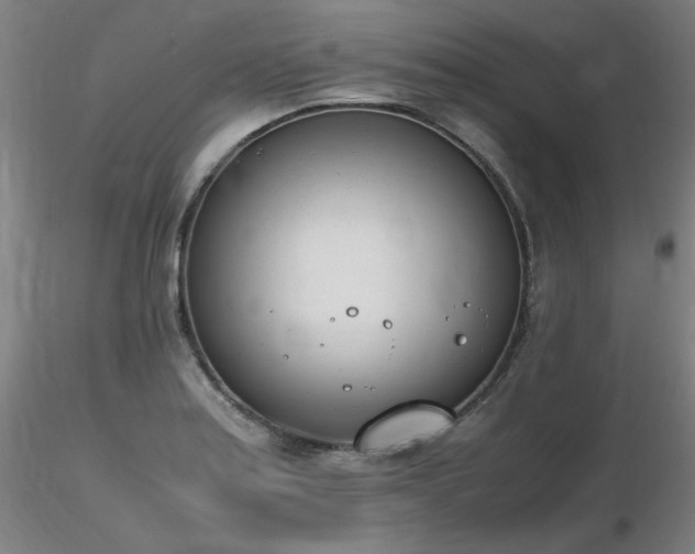 X0000116821179200912181401