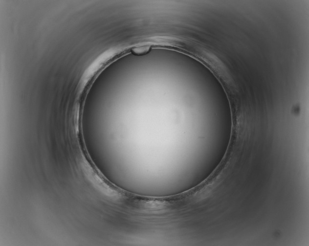 X0000116821180200912181400