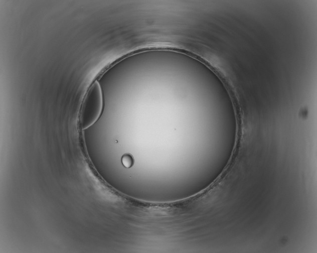 X0000116821181200912181400