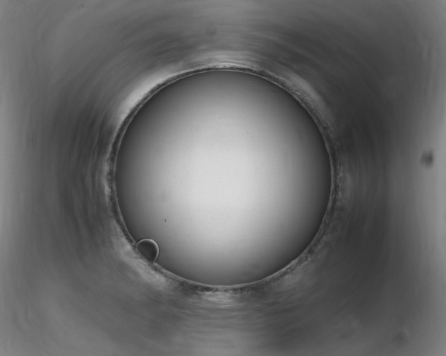 X0000116821182200912181400