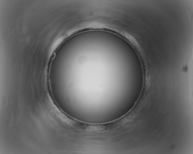 X0000116821183200912181400