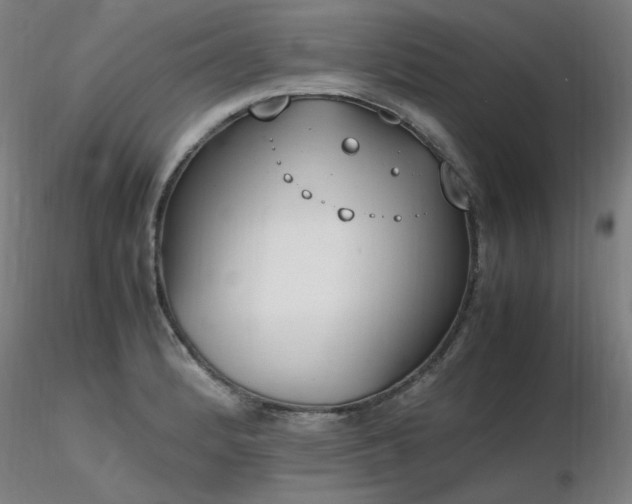 X0000116821184200912181400