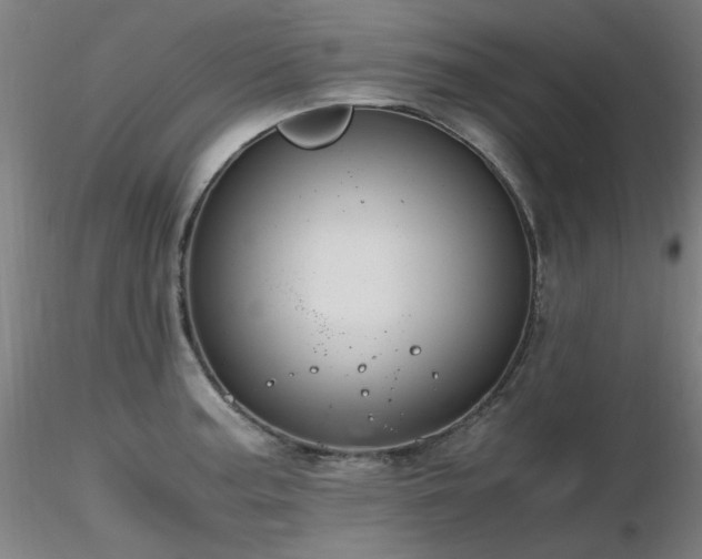 X0000116821187200912181400