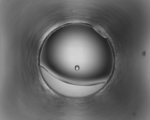 X0000116821189200912181400