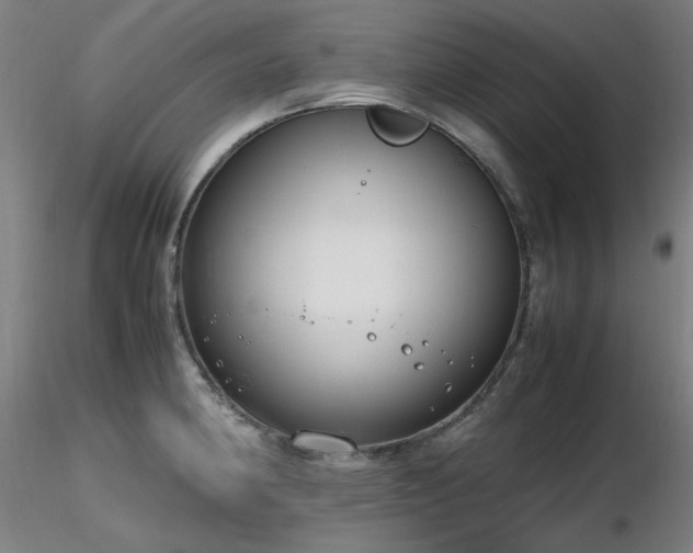 X0000116821190200912181400