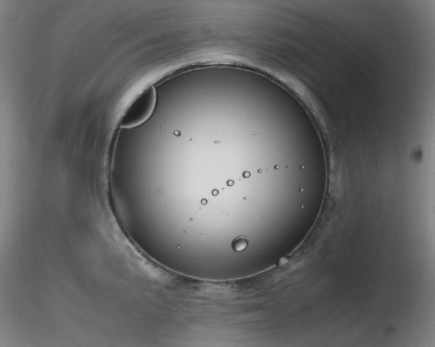 X0000116821191200912181400