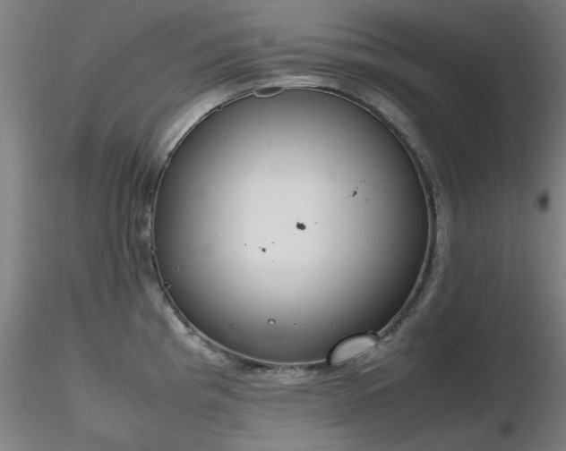 X0000116821193200912181400