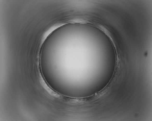 X0000116821195200912181400