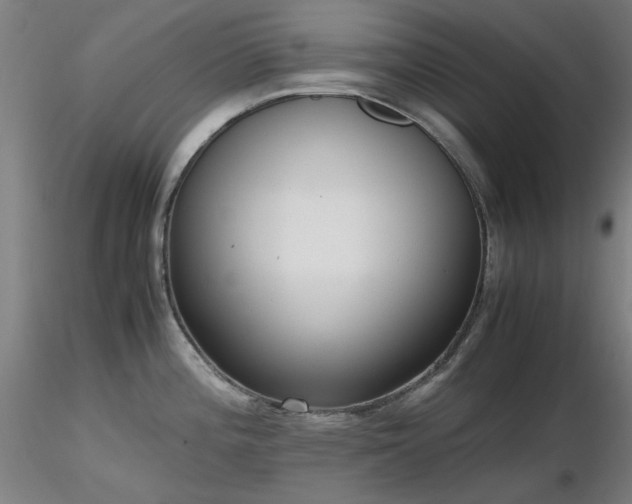 X0000116821196200912181400