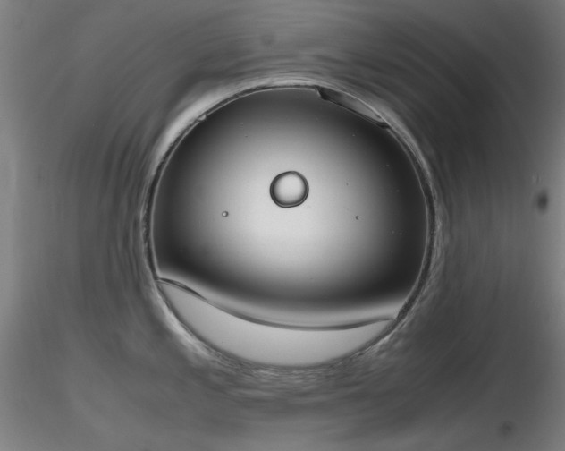 X0000116821197200912181400