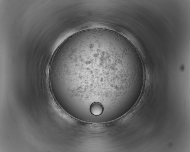X0000116821198200912181400