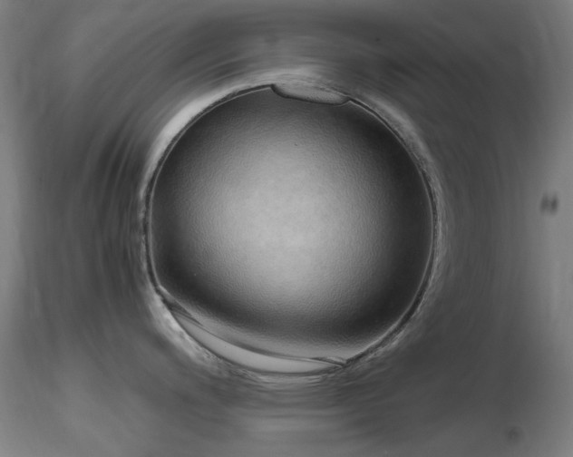 X0000116821200200912181400