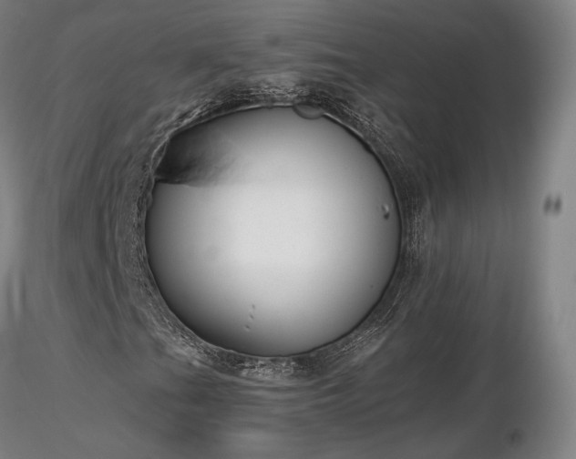 X0000116821201200912181359