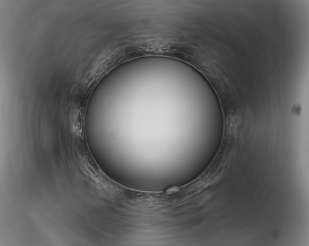 X0000116821202200912181359