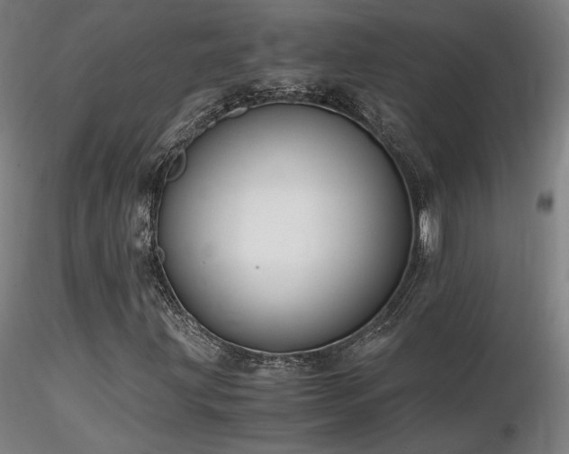 X0000116821203200912181359