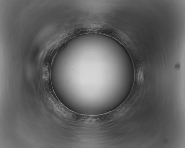 X0000116821204200912181359