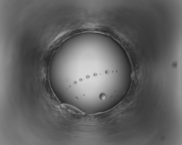 X0000116821206200912181359