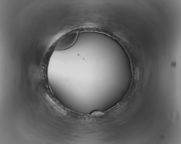X0000116821208200912181359