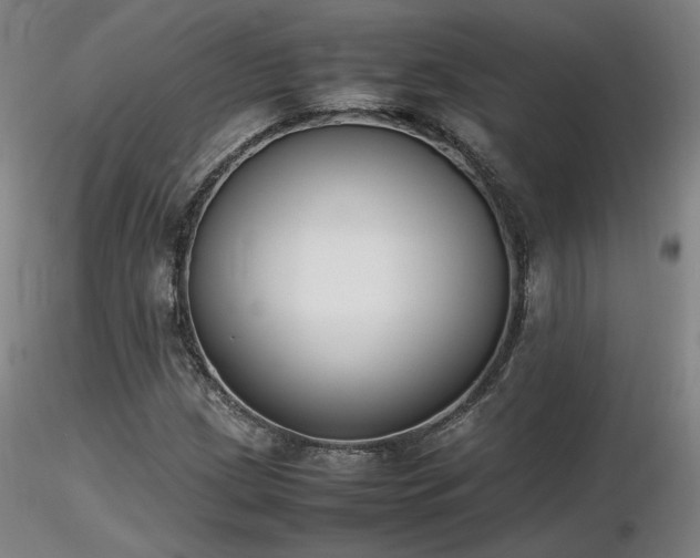 X0000116821209200912181359