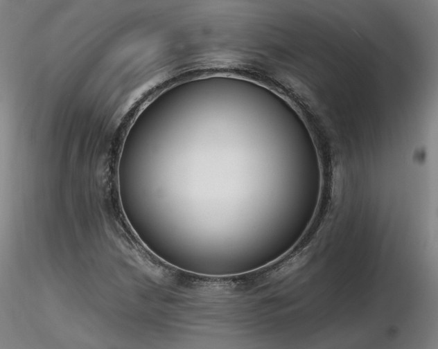X0000116821210200912181359