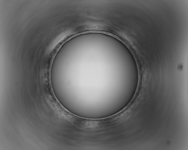 X0000116821211200912181359