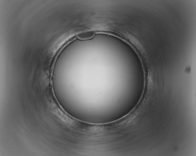 X0000116821212200912181359