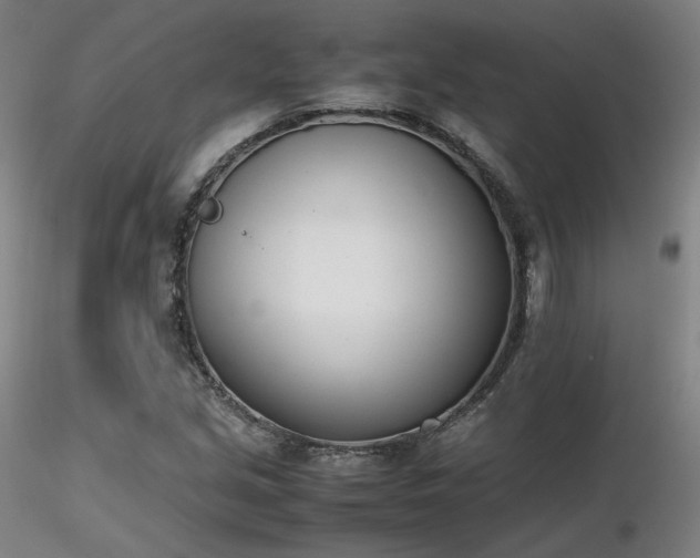 X0000116821213200912181400