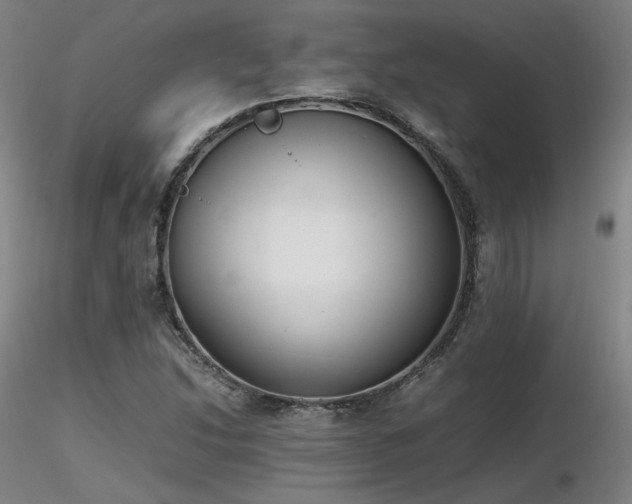 X0000116821214200912181400