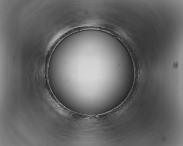 X0000116821216200912181400