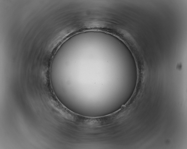 X0000116821217200912181400