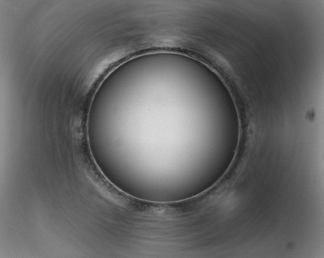 X0000116821218200912181400
