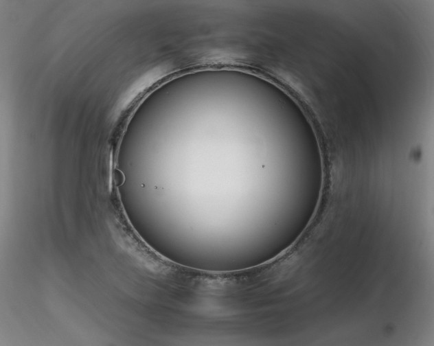 X0000116821219200912181400