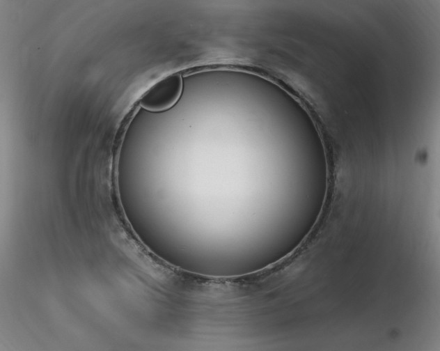 X0000116821220200912181400