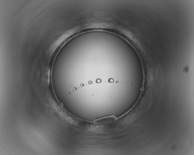 X0000116821221200912181400