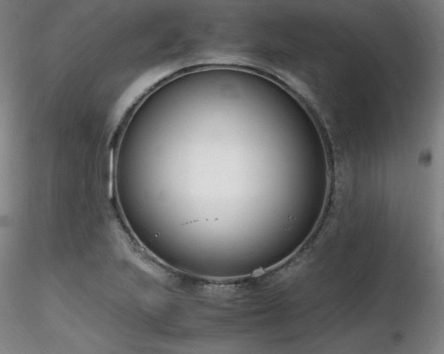 X0000116821223200912181400