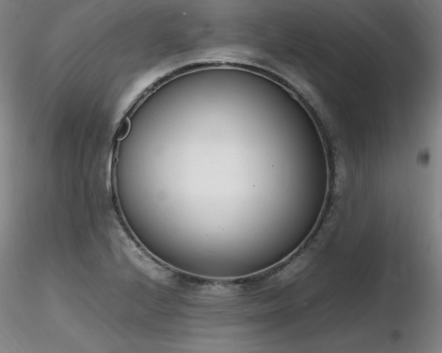 X0000116821224200912181400