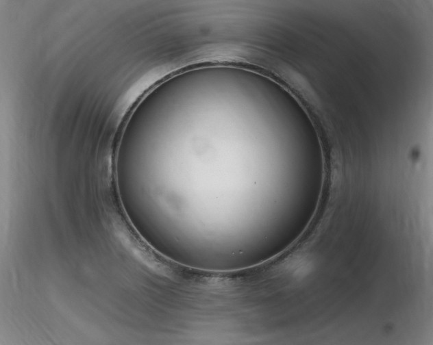 X0000116821226200912181400